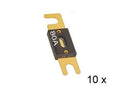 RTA ANL zekering, verguld, 80A 10X