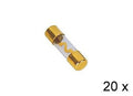 RTA AGU Glaszekering, verguld, 60A 20x